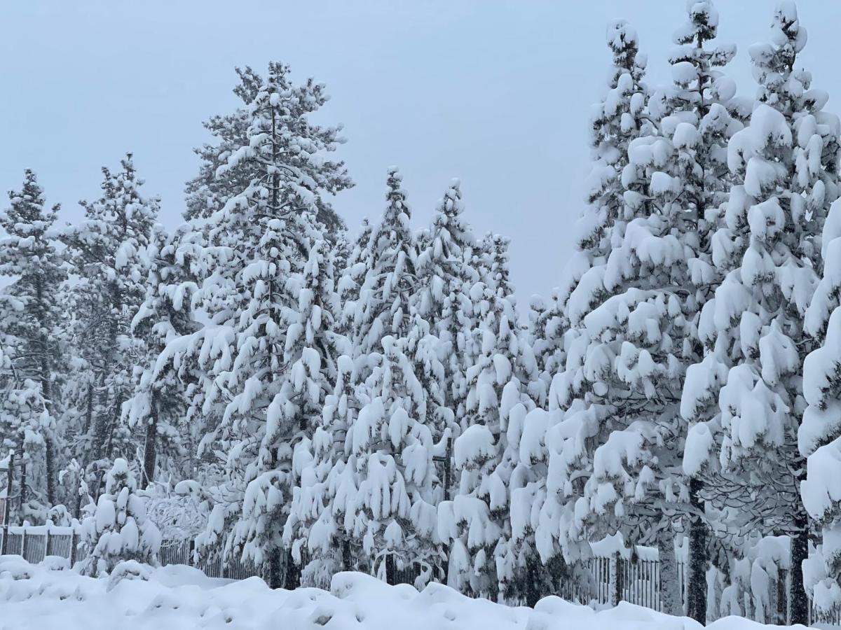 Pinewood Inn South Lake Tahoe Εξωτερικό φωτογραφία